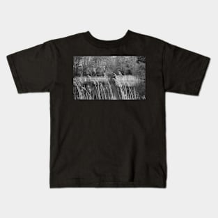 Reeds on the lake Kids T-Shirt